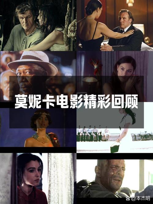 百度网盘下载时尚女王莫妮卡第3季完结官方正式版最新版