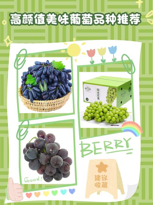 葡萄成熟时下载地址大全:多个平台资源任你选
