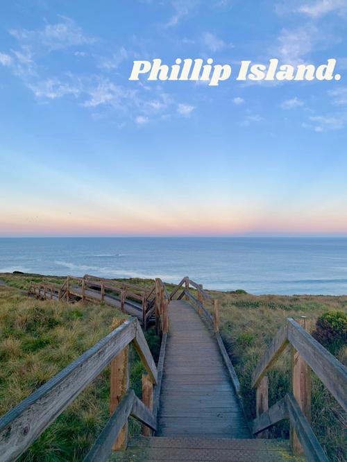 想玩归巢？这里提供官方正式版最新下载