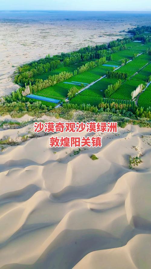 最后绿洲官方网站：进入奇幻沙漠生存世界