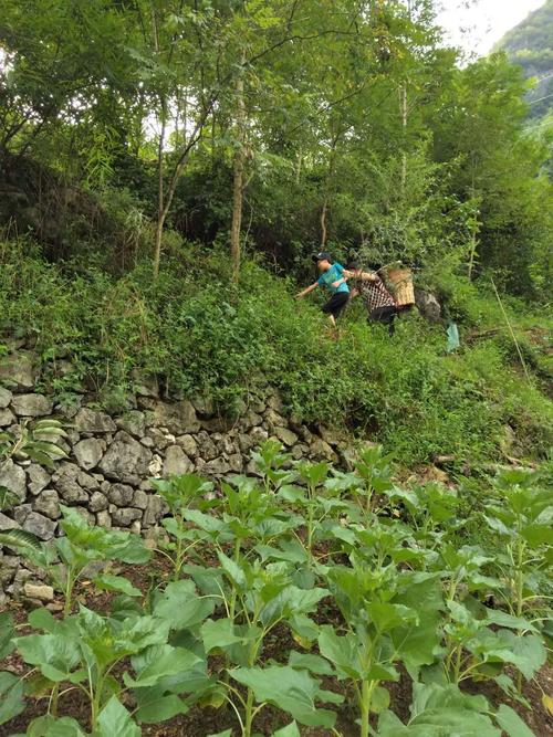 你想知道的乡村生活的快乐暑假汉化版最新更新都在这里！