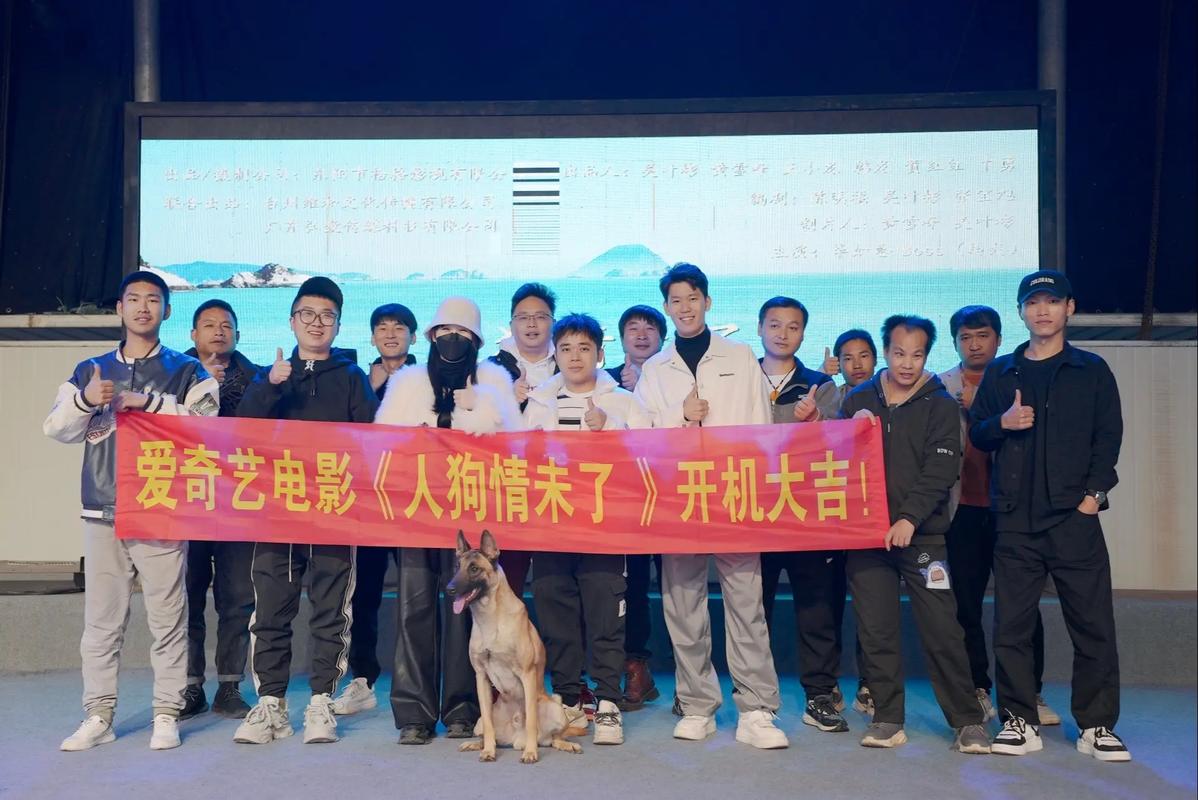 人狗情未了如何下载？高清完整版资源分享