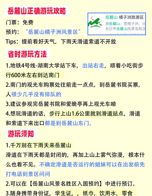 如何下载乡村生活的快乐暑假？避坑指南+下载链接！