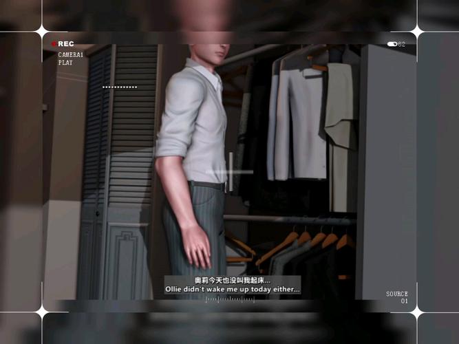 我的银乱妻子奥莉版本大全：高清资源及剧情详解