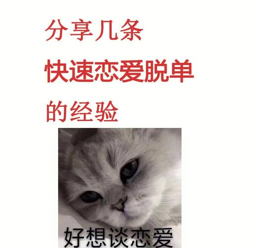 想玩恋爱单选题？教你快速下载安装到手机