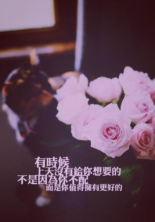 更好还是更糟？你值得拥有的官方正式版最新版下载