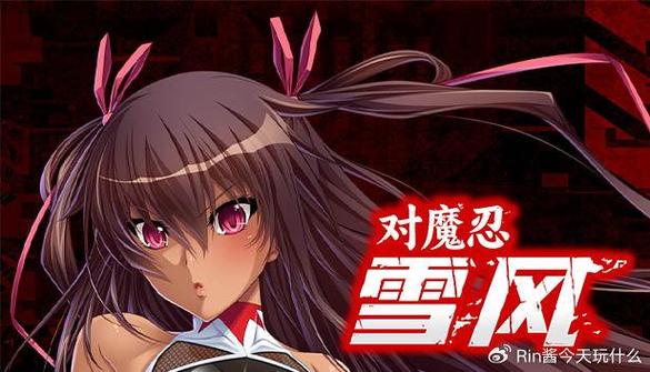 各版本对魔忍雪风大比拼：哪个版本最值得入手？