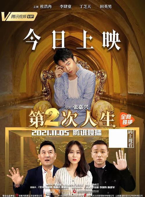 二次人生电视剧更新地址，快速观看无广告