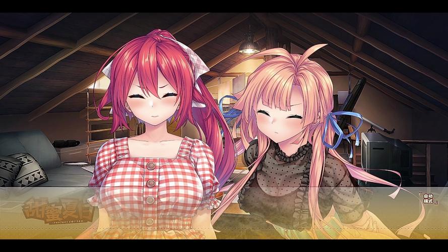 甜蜜夏日游戏攻略:角色好感度提升秘籍