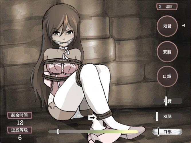 想玩奴隶训练游戏？下载地址及游戏玩法详解