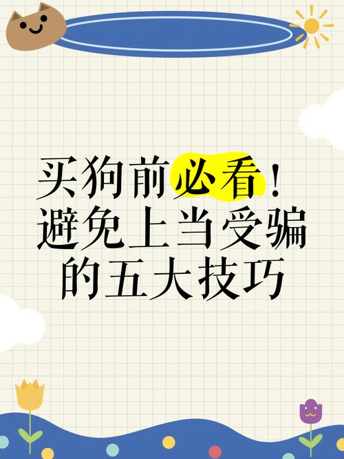我该怎么选官方网站？避免上当受骗的实用技巧