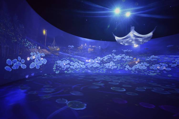 一夏之花安卓游戏:沉浸式夏日恋爱体验