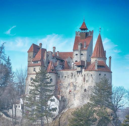 瓦尼亚的城堡官方网站有什么内容？最新资讯全知道！