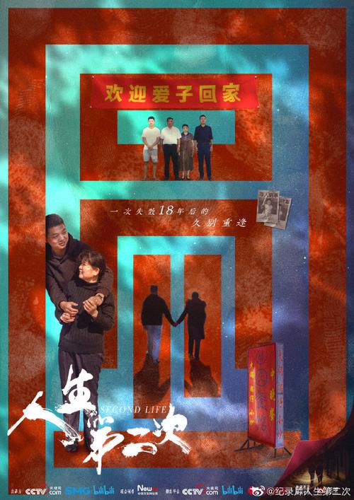 二次人生电视剧更新地址，快速观看无广告