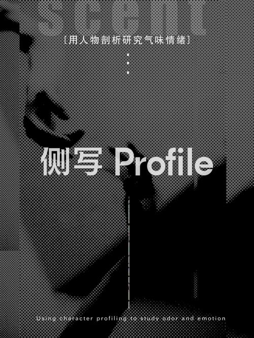 侧写者最新版本是多少？2024最新版下载地址及更新内容详解