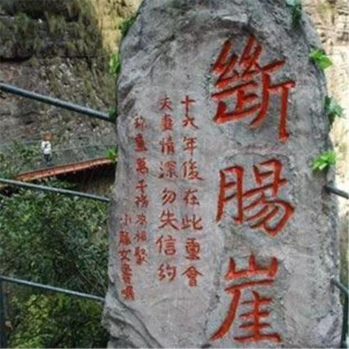 重生之杨过恋爱游戏:携手闯荡江湖,谱写情歌