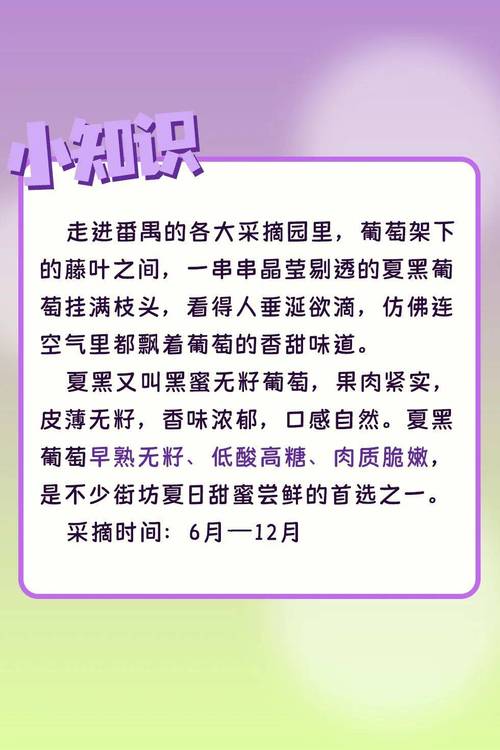 甜蜜夏日游戏攻略:角色好感度提升秘籍