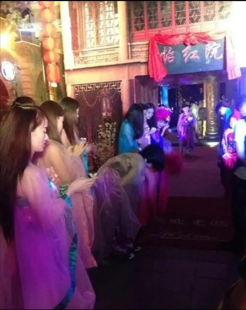 想看怡红院主人?最新更新地址分享给你