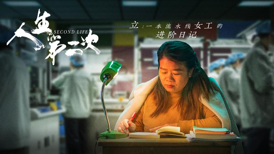 二次人生电视剧更新地址，快速观看无广告