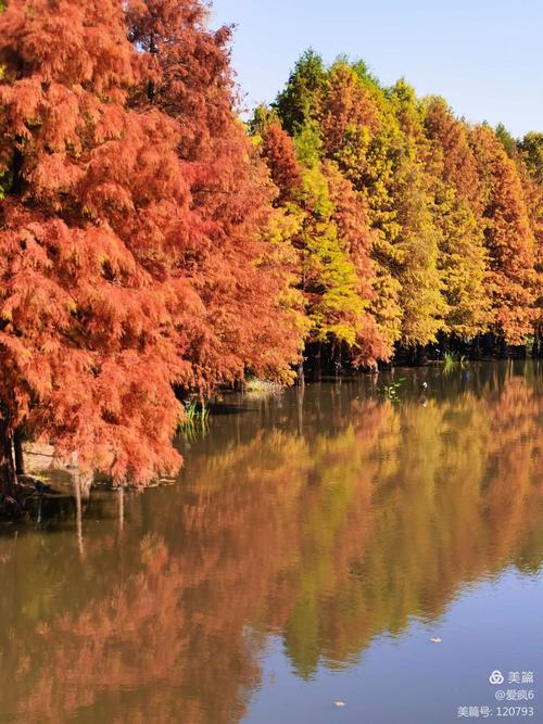 四季资源更新地址：高清流畅，随时随地想看就看