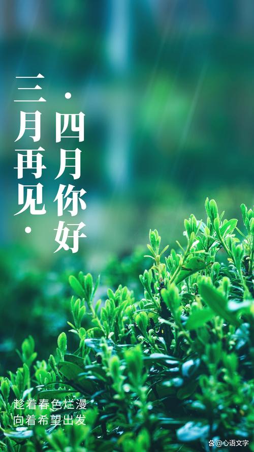 jinricp3月4日正式版安卓汉化哪家强？实测对比告诉你答案