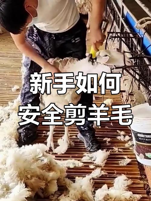 剪羊羊如何下载安全版？认准官方渠道避免病毒风险