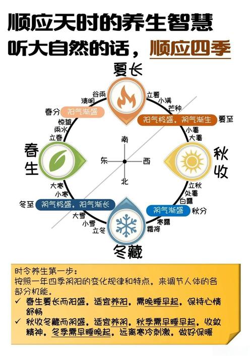 四季官方网站怎么优化体验?(提升浏览流畅度小贴士!)