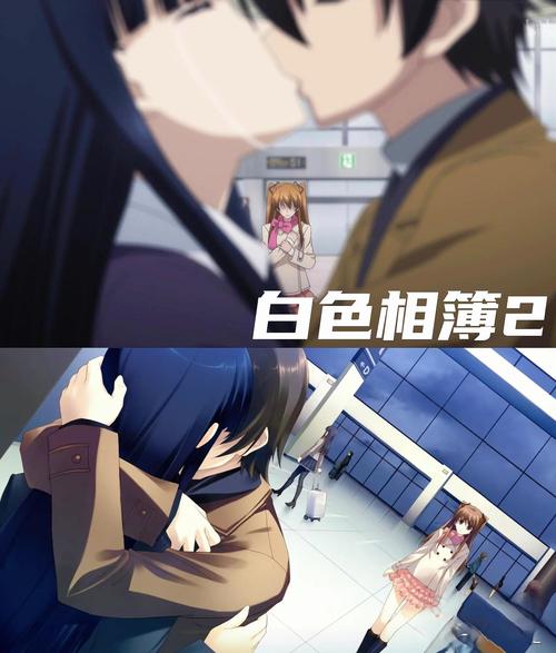 白色相簿合集最新版本是多少？这里有你想要的答案和介绍！